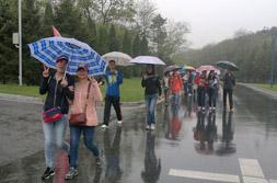 2013年5月的浪漫散步